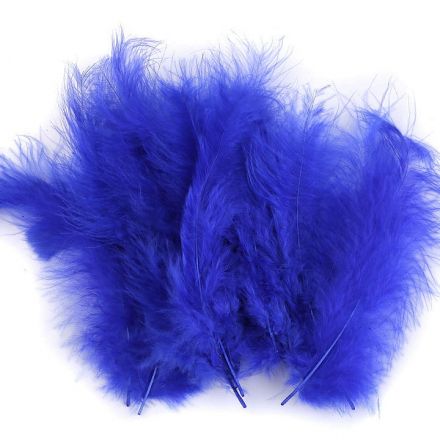 Galanterie: Pštrosí peří délka 9-16 cm (20ks) - modrá